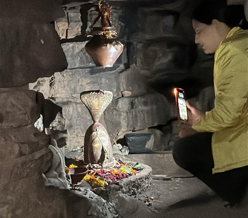 naidunia_image